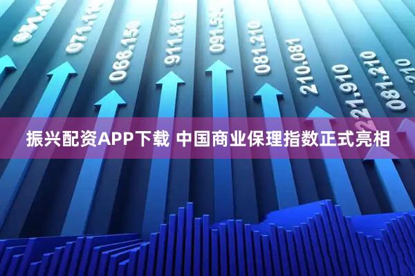 振兴配资APP下载 中国商业保理指数正式亮相